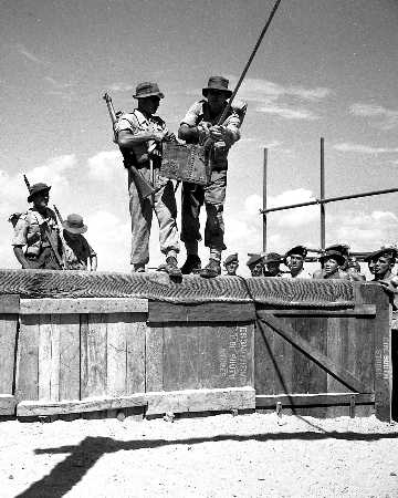 1951 1LF 1950   Fayid    Training Assault Course789